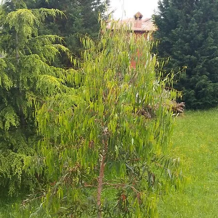 Venkovský dům Santa Eulalia