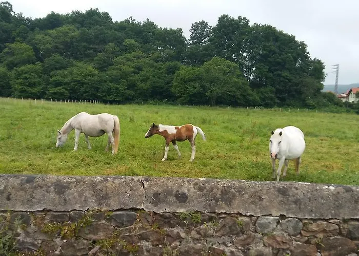 Gospodarstwo wiejskie Santa Eulalia *