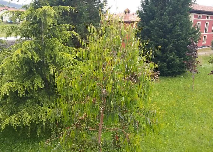 Country house Santa Eulalia