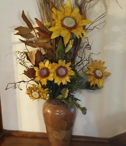 Santa Eulalia Country house Villanueva de la Pena